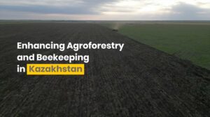 Screenshot that reads "Enhancing Agroforestry and Beekeping in Kazakhstan"